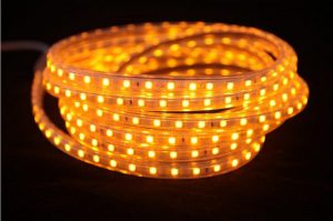 ریسه شلنگی انبه ای