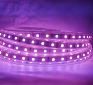 ریسه شلنگی بنفش