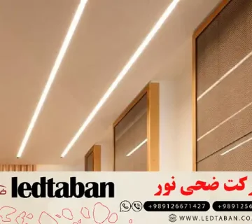 پخش عمده نور خطی